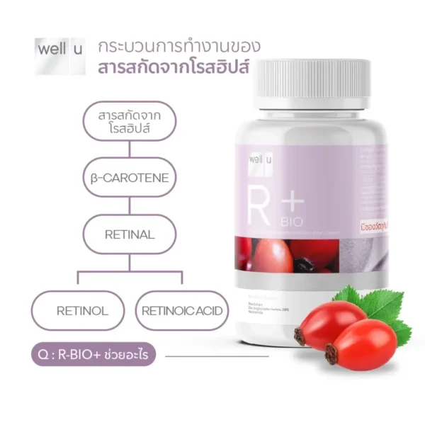 well u R-Bio Plus ( EXP : 20/02/27 ) อาร์-ไบโอ พลัส ( 1 ขวด 30 แคปซูล ) รูปที่ 4