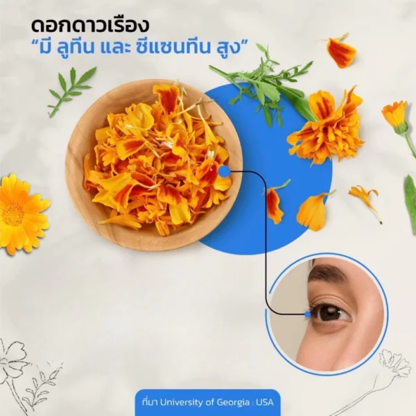 Vitanature+ Lutein and Zeaxanthin ไวตาเนเจอร์พลัส ลูทีนและซีแซนทิน (1 กระปุก 30 เม็ด)