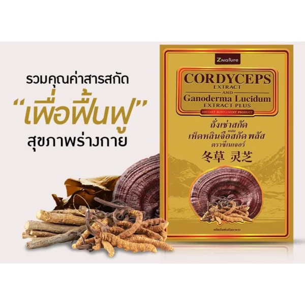 CORDYCEPS ถั่งเช่าสกัดผสมเห็ดหลินจือสกัด (1 กล่อง 30 แคปซูล)